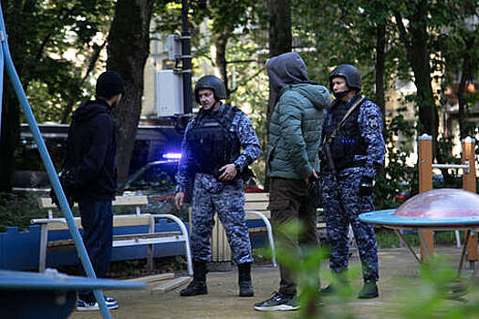 В Петербурге ИИ будет вызывать Росгвардию при хулиганстве на детских площадках