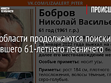 В Ленобласти продолжаются поиски пропавшего 61-летнего лесничего