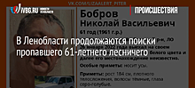 В Ленобласти продолжаются поиски пропавшего 61-летнего лесничего