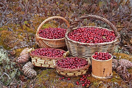 Россиянам посоветовали есть несколько продуктов для укрепления иммунитета