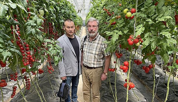 Российские исследователи презентуют роботизированный комплекс интенсивного фенотипирования растений