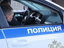 В Калининграде обыскивают квартиру члена общественной палаты Соломона Гинзбурга
