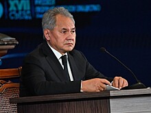 Политолог раскрыл главный мотив Киева в покушении на Шойгу