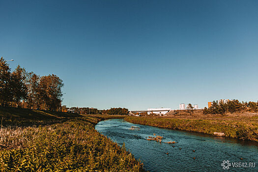 Почти сотня кузбассовцев попала под статью за купающихся детей