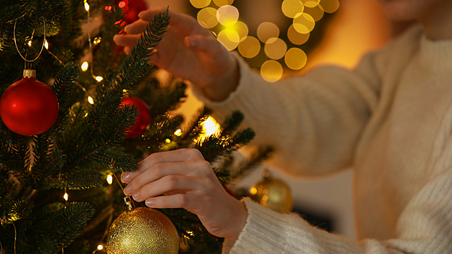 Россияне удивились ценам на украшение новогодней ёлки