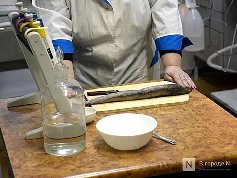 60 кг рыбы изъяли в Нижегородской области из-за нарушений требований к маркировке