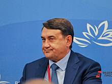 ​В Екатеринбург прилетит помощник президента Игорь Левитин