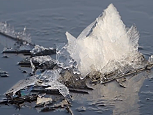 В Карелии "распустились" ледяные цветы