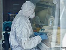 На Ямале ещё у четырёх человек подтвердился COVID-19