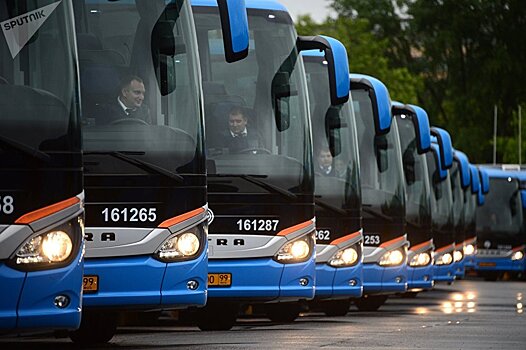 Более 550 новых автобусов появятся в Алматы до конца года