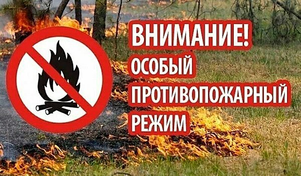 В Верхнекамье и Подосиновском районе ввели особый противопожарный режим