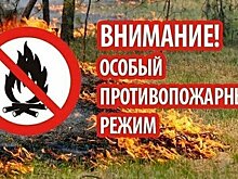 В Верхнекамье и Подосиновском районе ввели особый противопожарный режим