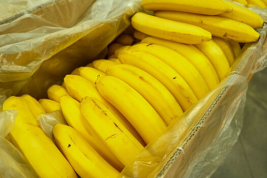 Петербургские таможенники обнаружили крупную партию кокаина среди бананов