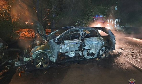 В Волгограде 33-летнего мужчину задержали за поджог двух автомобилей