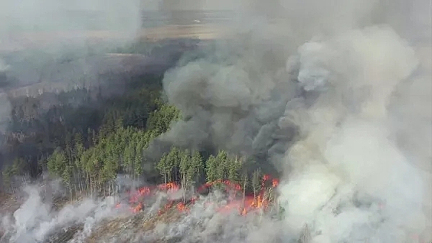 Дым от пожаров в чернобыльской зоне дошел до Киева