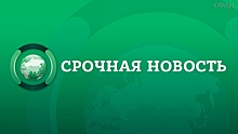 Путин выразил надежду на достижение мирового соглашения между «Роснефтью» и АФК «Система»