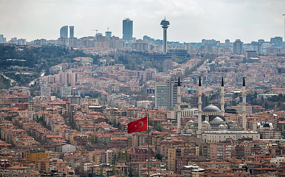 Москва и Анкара обсудят замену уходящих из РФ брендов турецкими