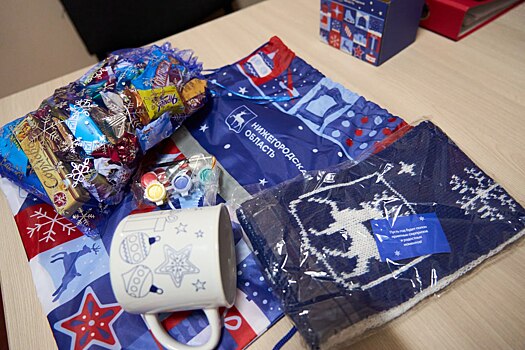 Нижегородская область передаст новогодние подарки детям в ДНР