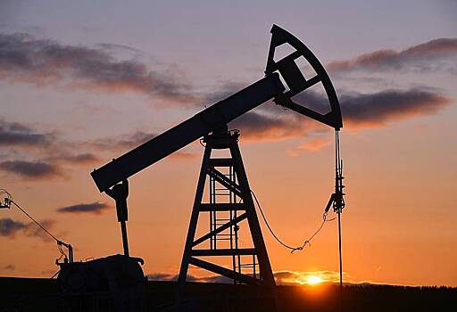 Назван главный поставщик нефти в Индию и Китай