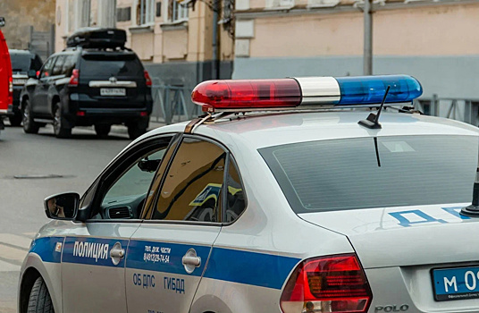 ГИБДД будет связываться с владельцами автомобилей, мешающих уборке снега в Рязани