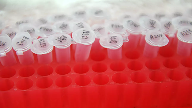 В Дании число выявленных случаев коронавируса достигло 17 736