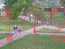 Дерево упало и сломало ногу 13-летней девочке в Серпухове