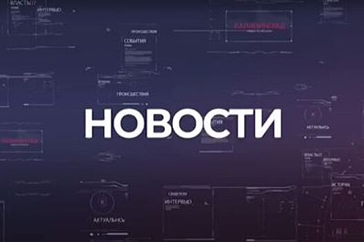 Кто такой «хозяин Балтийска», что обсуждали бизнесмены на конференции в Светлогорске и какая на вкус «Калининградская кухня». Новости 16 апреля