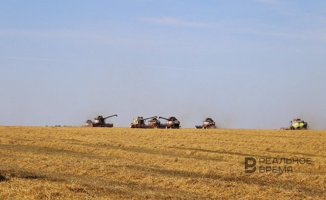 Прекращение вегетации озимых в Татарстане зафиксировали на неделю позже нормы