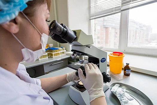 Первого в 2023 году клеща принесли в лабораторию Новосибирска