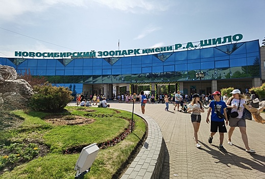В Новосибирском зоопарке нашли постоянный дом для медвежонка-подкидыша