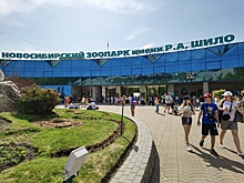 В Новосибирском зоопарке нашли постоянный дом для медвежонка-подкидыша