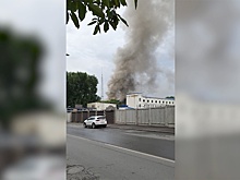 В ростовском зоопарке начался пожар