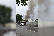 В ростовском зоопарке начался пожар