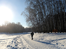 В Москве подготовили более 700 километров лыжных трасс