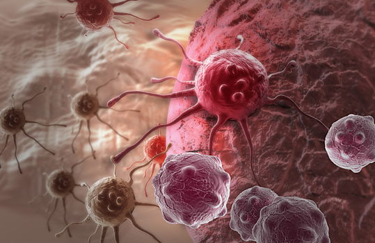 Открыт неожиданный способ убить раковые клетки