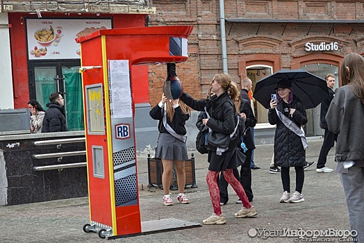 Нелегальные боксерские груши с улиц Екатеринбурга вывозят с участием "Русской общины"