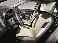 "Русская кожа" к 2021 году может занять до 50% рынка автомобильных кож в РФ