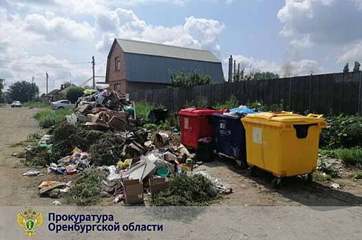 Мусорные завалы на улицах Орска убрали после вмешательства прокуратуры