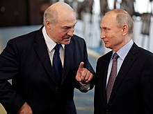Белорусский дипломат рассказал о переговорах Лукашенко и Путина