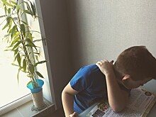 Итоги дня: перевод сарапульских школ на дистант и проверка цен на ПЦР-тесты в Удмуртии