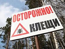 Белгородские пляжи обработают против клещей и комаров