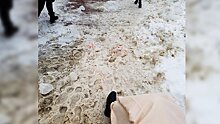 СК выяснит, кто виноват в обрушении глыбы льда на женщину в центре Воронежа