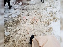 СК выяснит, кто виноват в обрушении глыбы льда на женщину в центре Воронежа