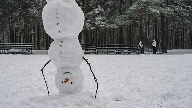 В Архангельске установили рекорд России по лепке снеговиков