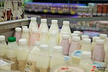 В Челябинской области в магазинах сети «Пятерочка» начнут продавать молоко и творог из деревни
