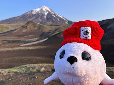 «Плавучий университет»: новый рейс