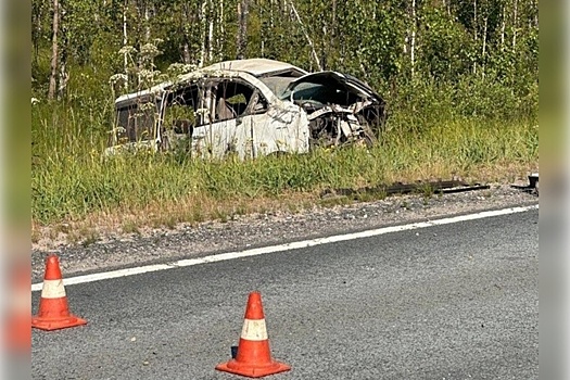 В Архангельской области столкнулись Hyundai и минивэн Toyota, есть погибшие