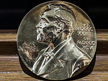 Ученый назвал «порочные» номинации Нобелевской премии