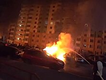 Защитнице Беличанского леса сожгли два автомобиля