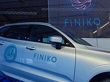 СПЧ: жертвами Finiko стали около миллиона человек